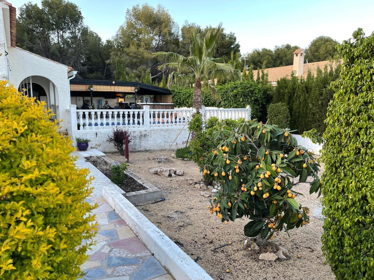 Villa La Vida Л'Алфас дел Пи Екстериор снимка